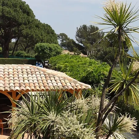 Hotel Des Oliviers 3*